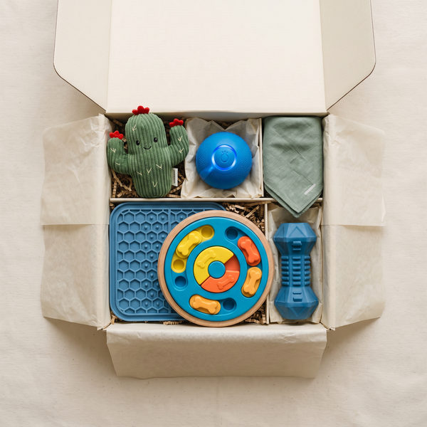 the ultimate box