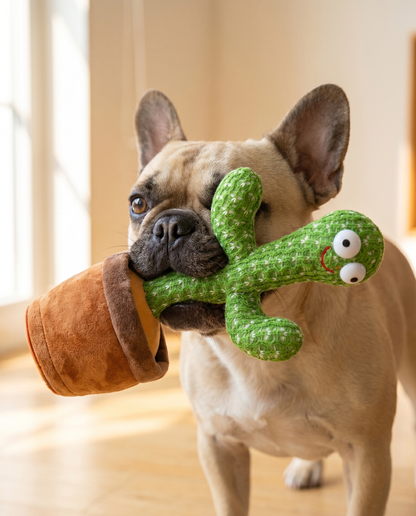 dog holding the cactus snuggle plush